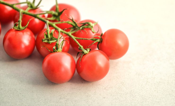 pomodorini
