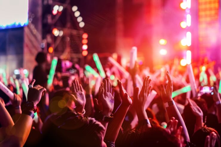 persone ad un concerto