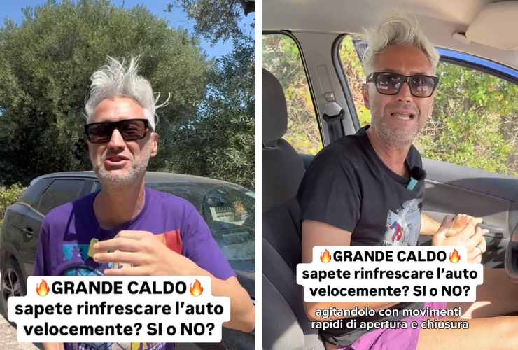 collage prof schettini