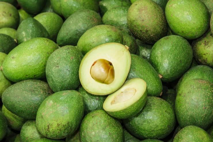 avocado e avocado a metà