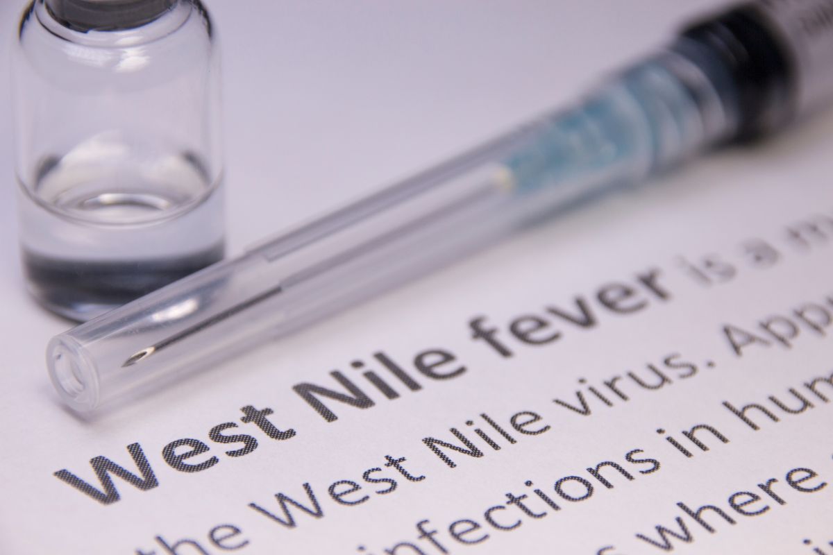 paragrafo di un libro che parla di west nile