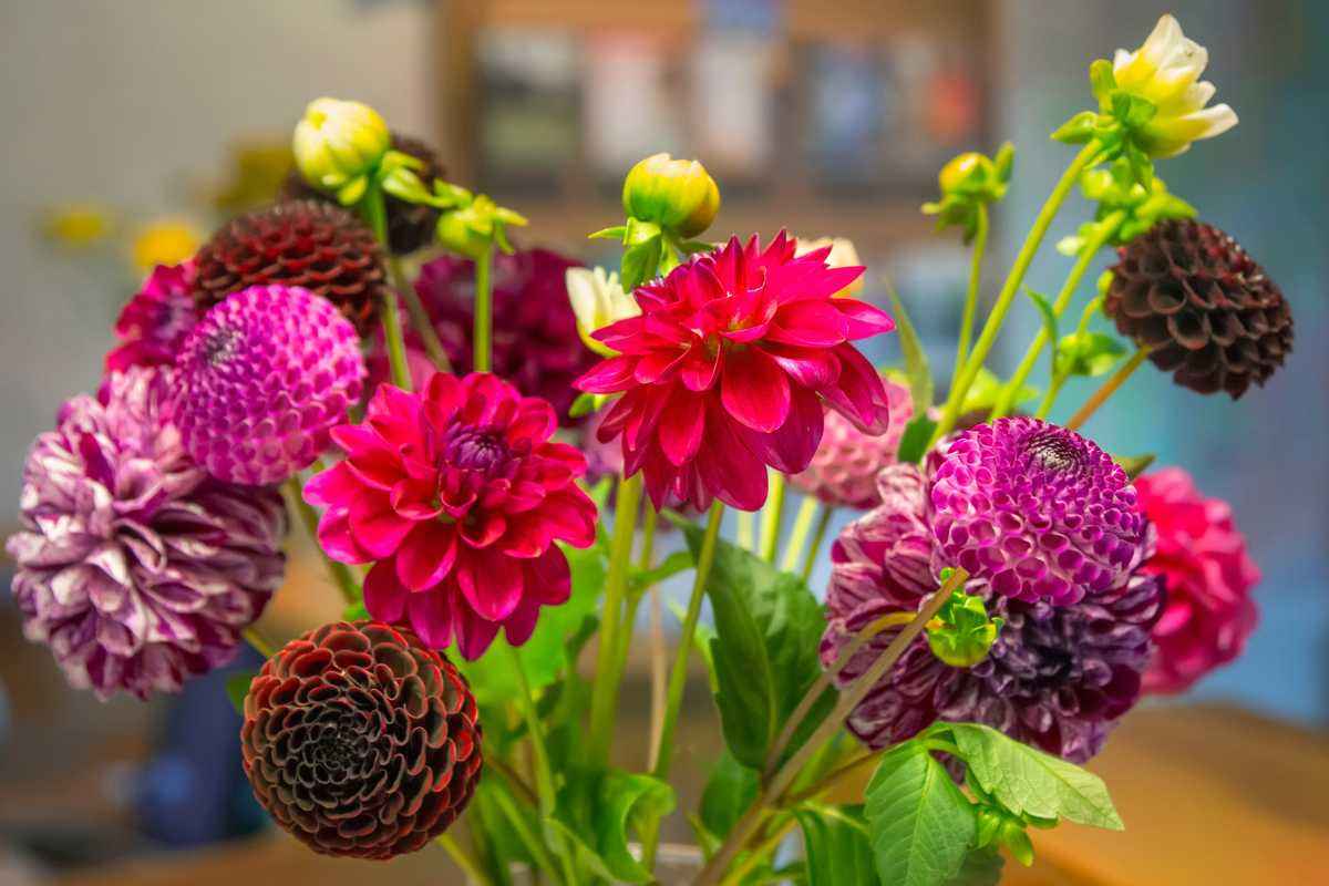Fiori