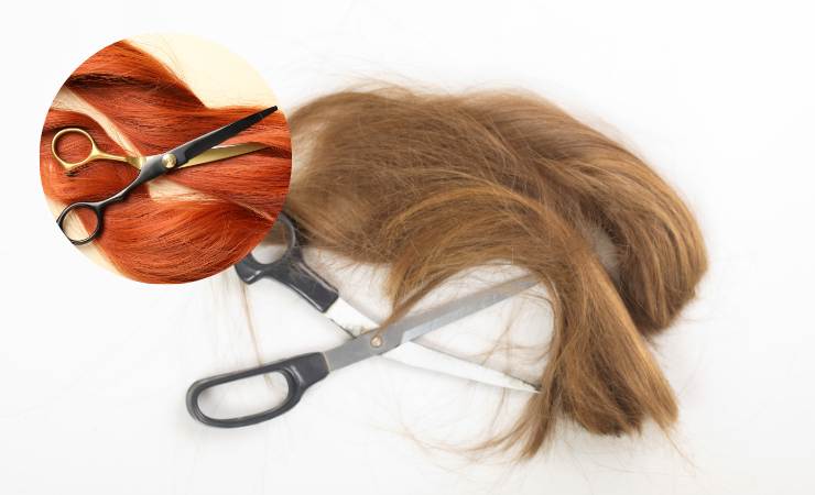 ciocche capelli