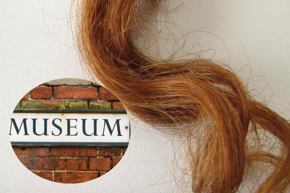 museo, ciocca capelli