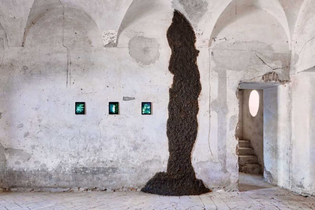 Cacca di mucca che scende da una parete, esposta al Museo della merda