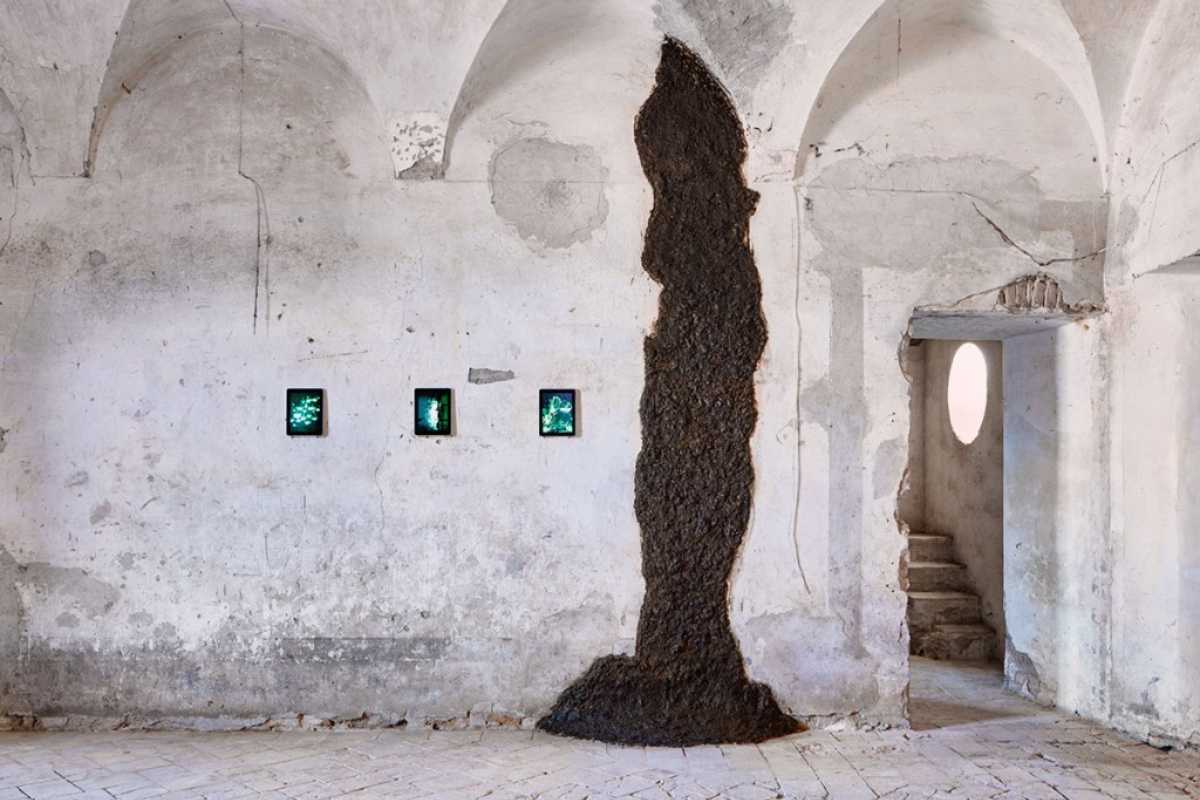 Cacca di mucca che scende da una parete, esposta al Museo della merda