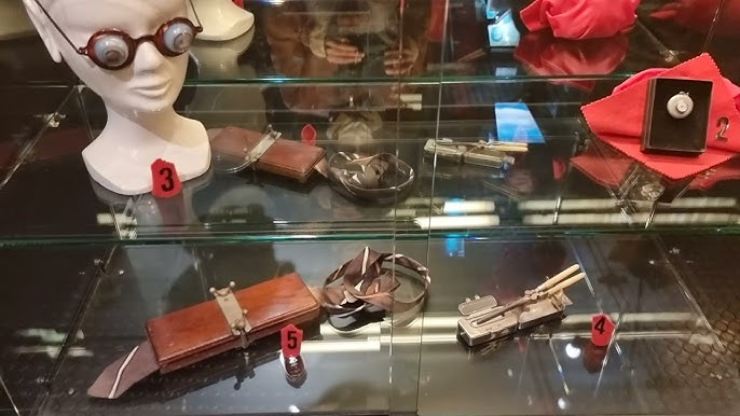 Una vetrina all'interno del Museo delle Curiosità