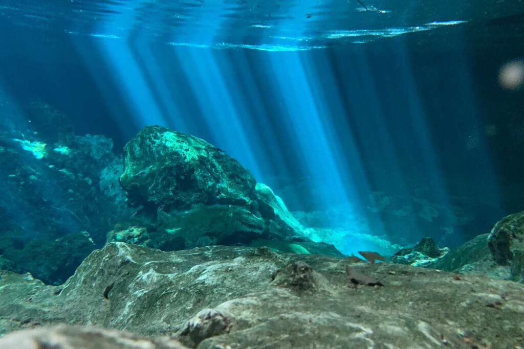 fondale del mare