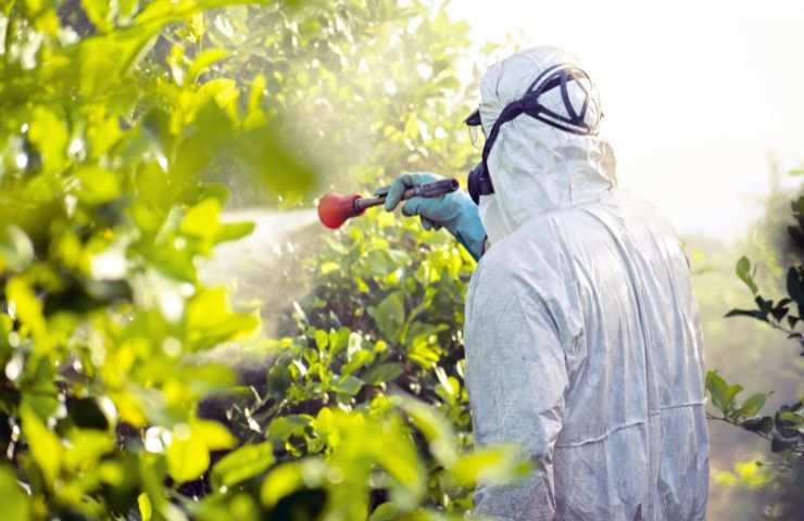 Pesticidi