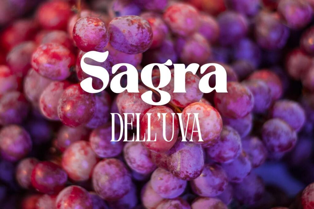 Uva Rosa e scritta "sagra dell'uva"