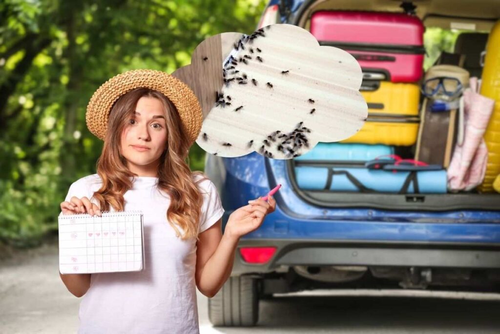 Non dimenticare di fare questo prima di partire per le vacanze: al ritorno potresti ritrovarti un’invasione di insetti