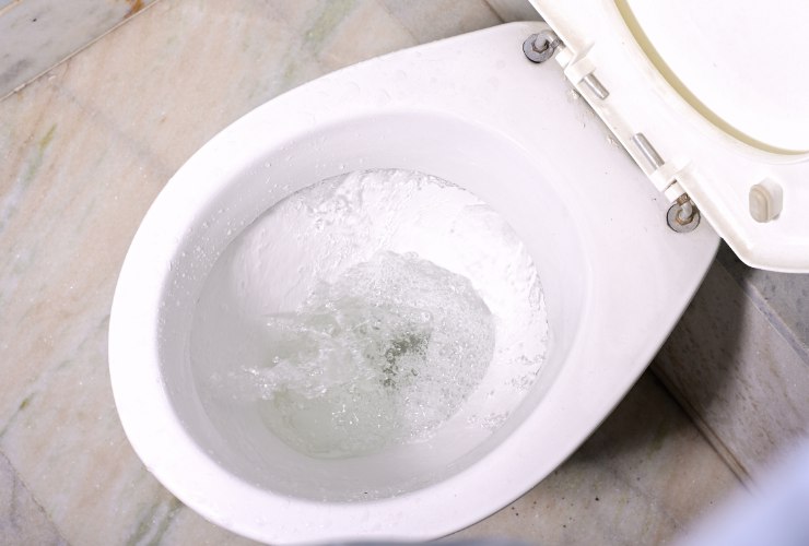 fondo del wc