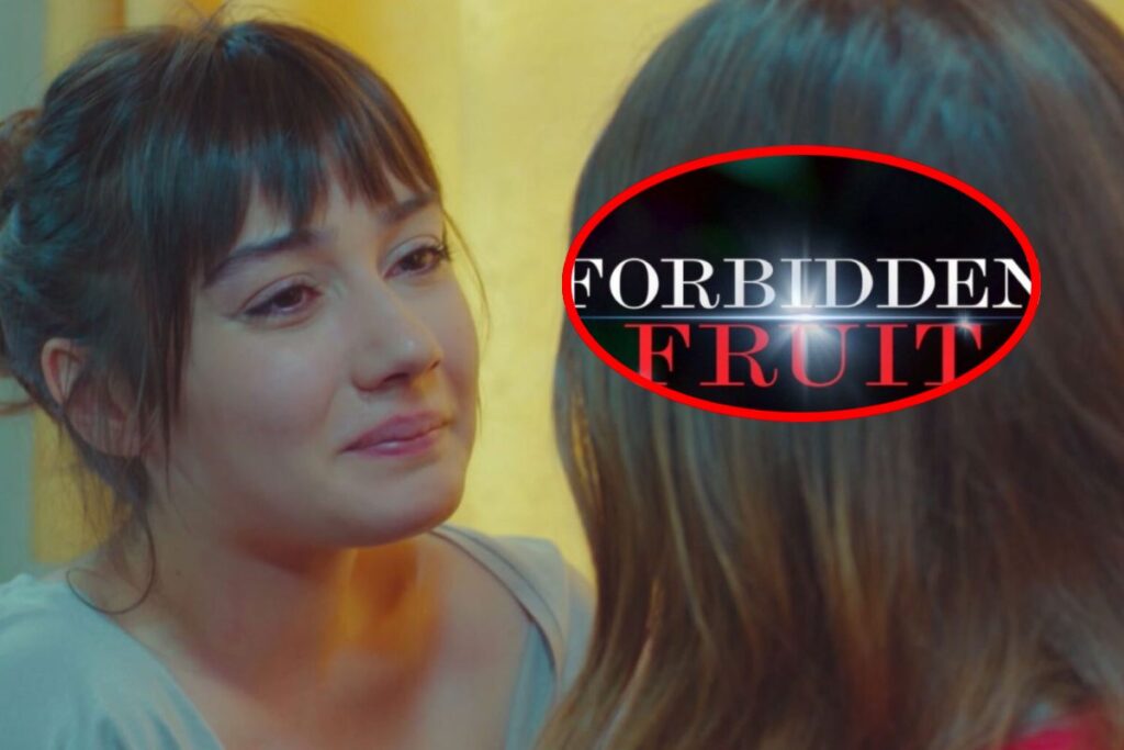 Mediaset dal 6 settembre si cambia, la novità riguarda Forbidden Fruit