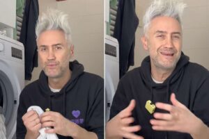 collage prof schettini