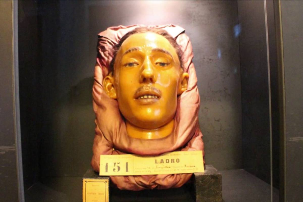 Volto di un "ladro" nel museo di antropologia criminale