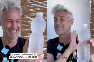 collage prof schettini