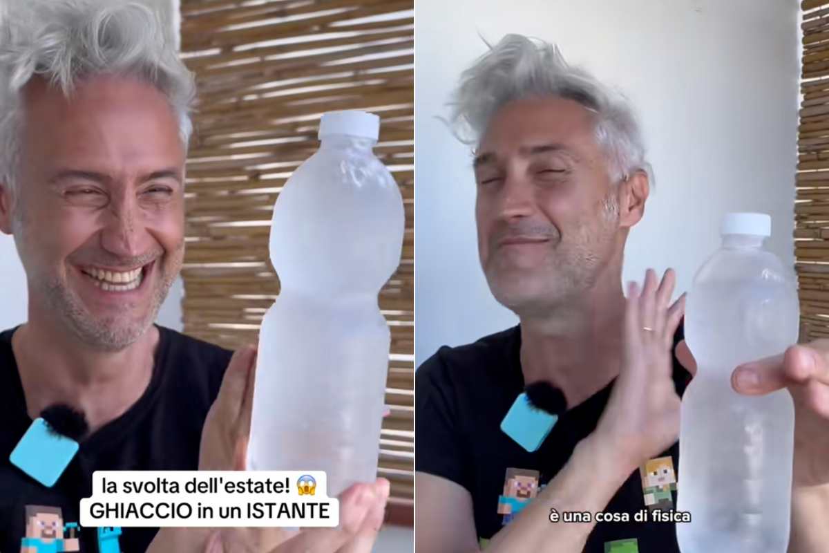 collage prof schettini