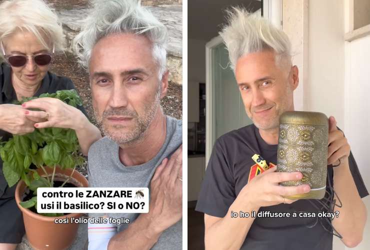 collage prof schettini