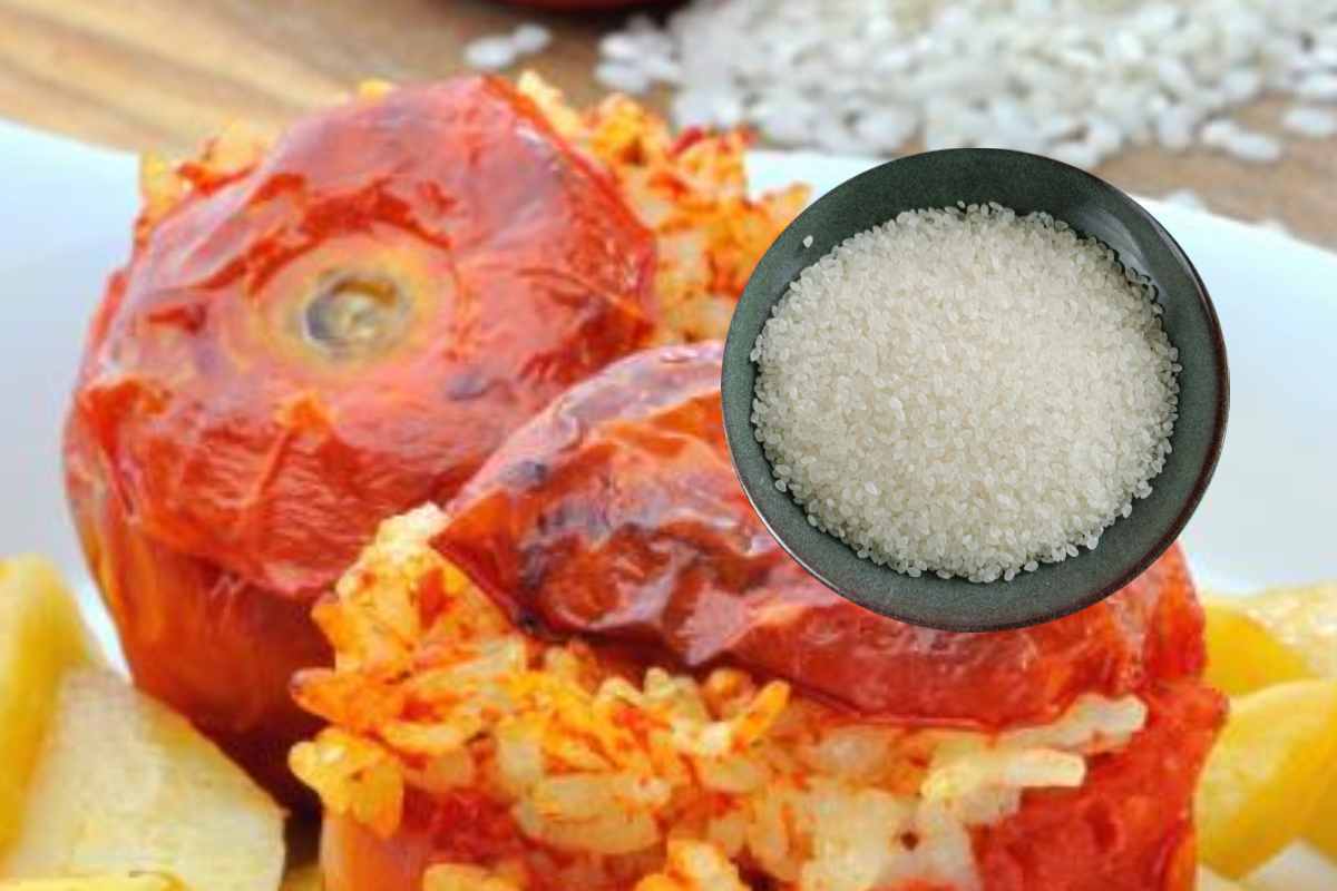 Dei pomodori al riso e, in evidenza, del riso bianco
