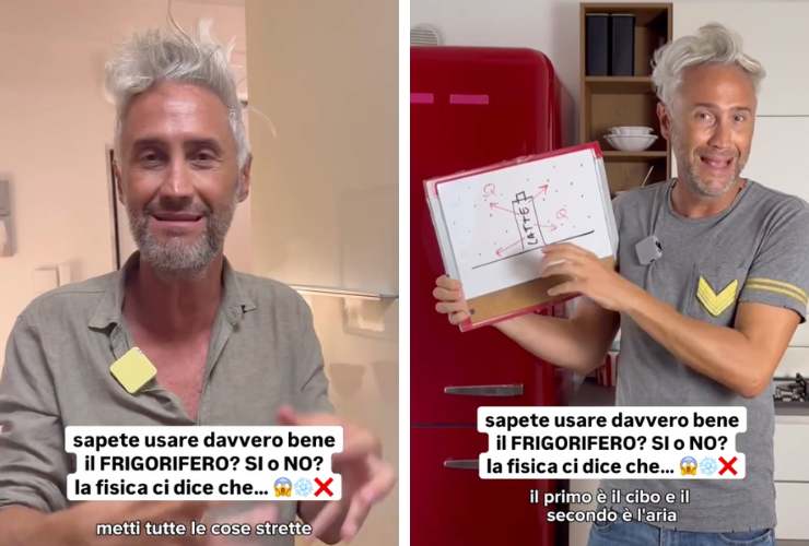 collage prof schettini