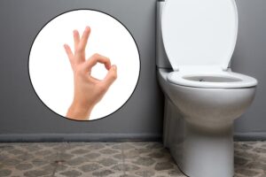 wc e segno ok
