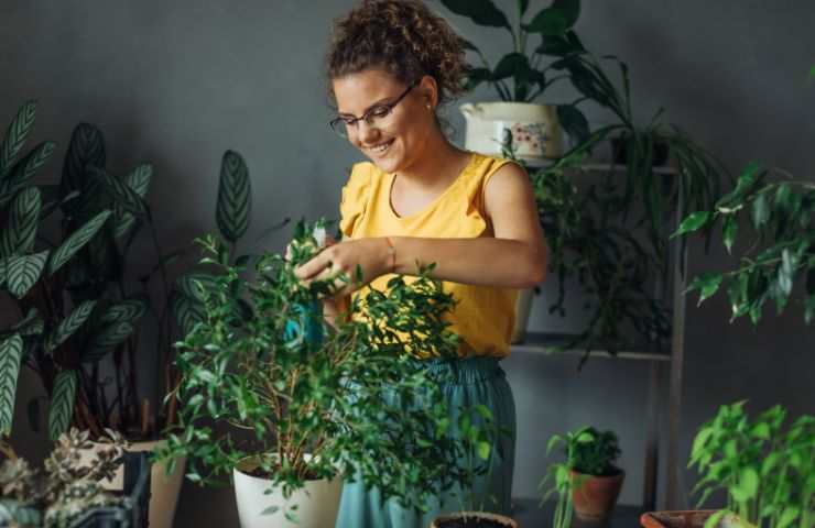 donna che si prende cura delle piante