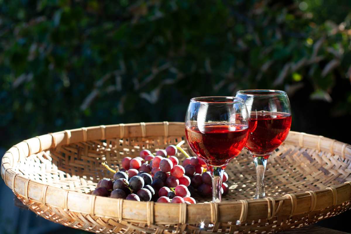 uva e vino