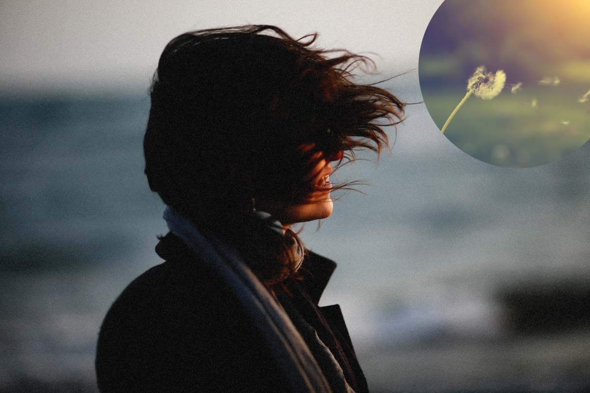 donna con capelli al vento e fiore di soffione