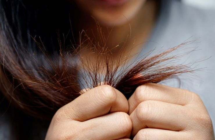 ciocca di capelli con doppie punte