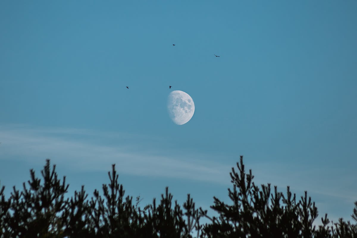 luna in cielo 