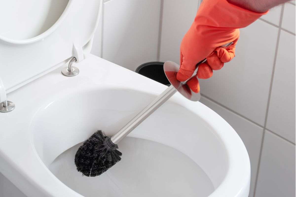 scopino nel wc