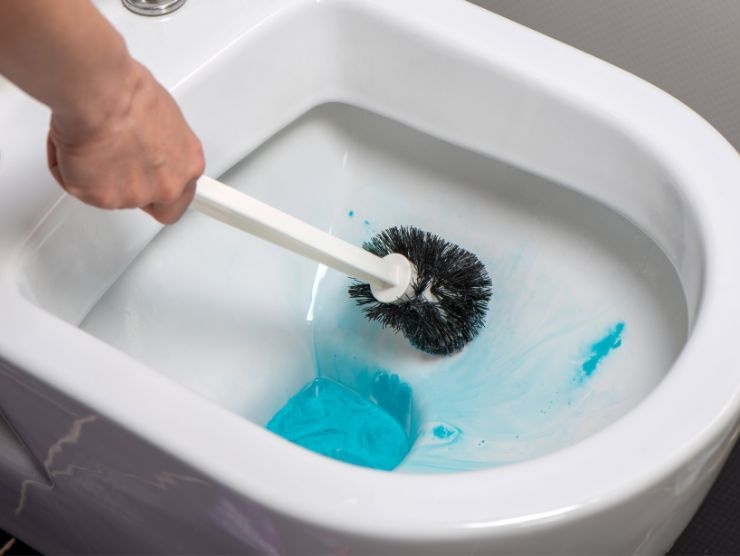 scopino che pulisce Wc
